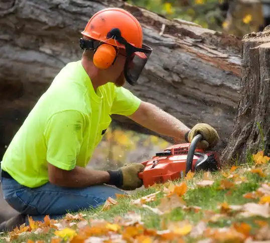 tree services Thurmont